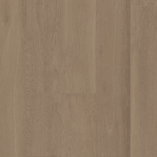 Picture of Palmetto Road - Outer Banks Salvo