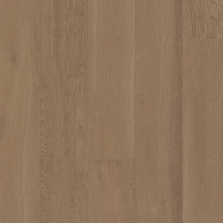 Picture of Palmetto Road - Outer Banks Hatteras