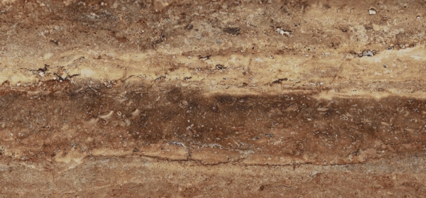 Picture of Milestone - Travertine 12 x 24 Matte Bold