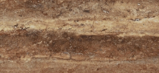 Picture of Milestone - Travertine 24 x 48 Polished Bold