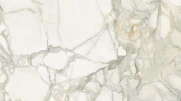 Picture of Iris Ceramica - Select Calacatta Oro Matte