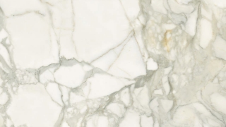 Picture of Iris Ceramica - Select Calacatta Oro Polished