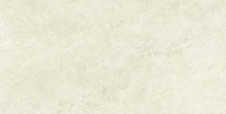 Picture of Ecoceramic - Babilon 24 x 48 Polished Bone