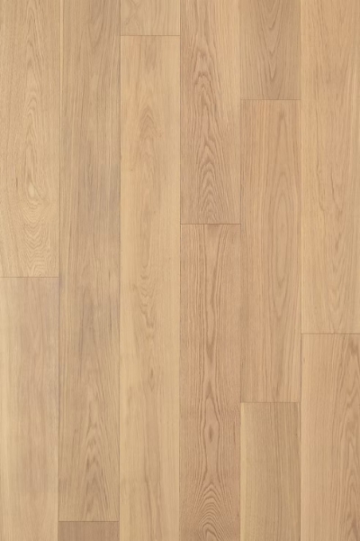 Picture of Denali Hardwood - Apogee Prime 7.5 Ossa-S