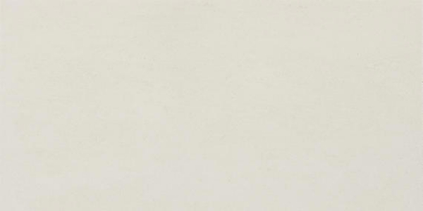 Picture of American Olean - Theoretical Evolved 24 x 48 Wishful White