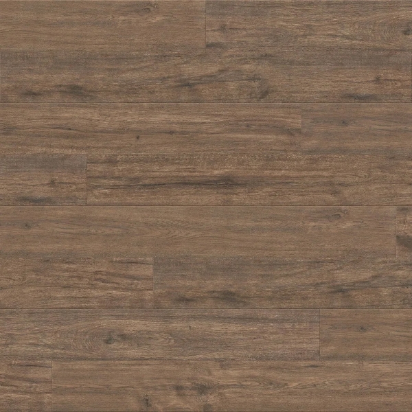 Picture of TrueTouch - Momentum Baja