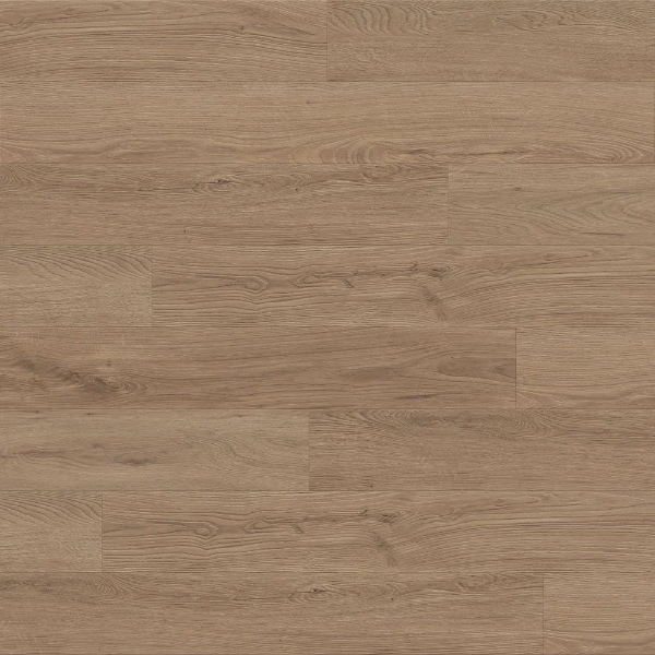 Picture of TrueTouch - Evolv Cloud Nine