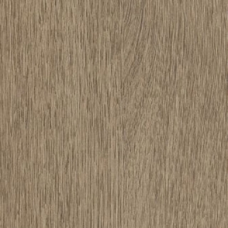 Picture of Philadelphia Commercial by Shaw - Indwell II 20 Toffee Brown