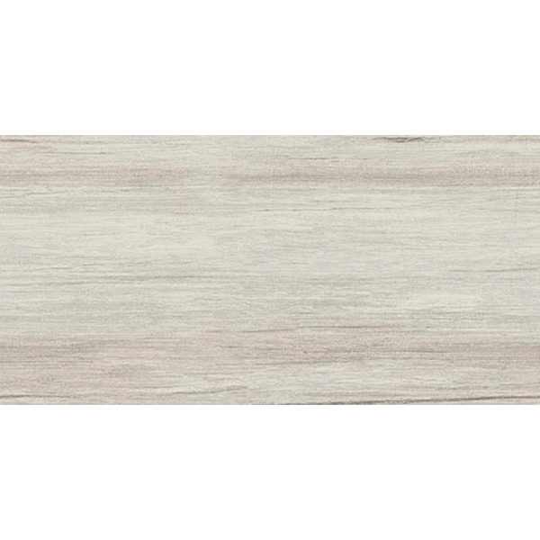 Picture of Atlas Concorde - Edge 12 x 24 Gray