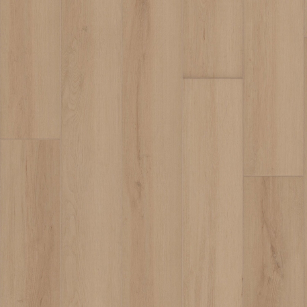 Picture of Shaw Floors - Ambition Champagne