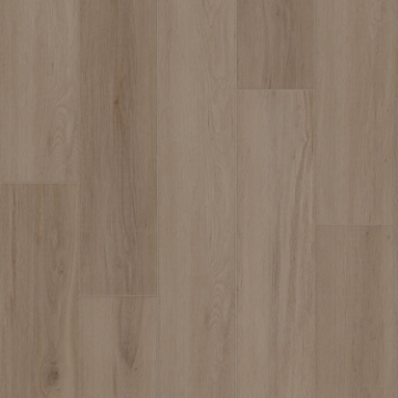 Picture of Shaw Floors - Ambition Mushroom