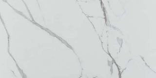 Picture of Ecoceramic - Grayish 24 x 48 Grayish