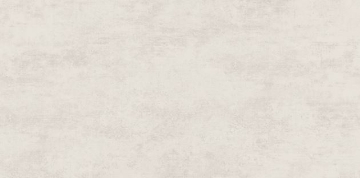 Picture of Ecoceramic - Norwich 24 x 48 Blanco