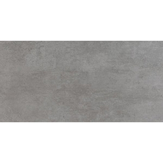 Picture of Ecoceramic - Norwich 24 x 48 Gris