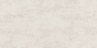 Picture of Ecoceramic - Norwich 24 x 48 Grip Blanco