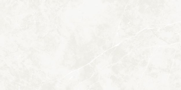 Picture of Ecoceramic - Puccini 24 x 48 Blanco Matte