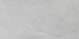Picture of Ecoceramic - Slabs 24 x 48 Polished Perla