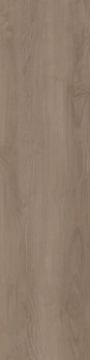 Picture of Patcraft - Woodtone Spruce