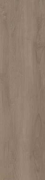 Picture of Patcraft - Woodtone Spruce