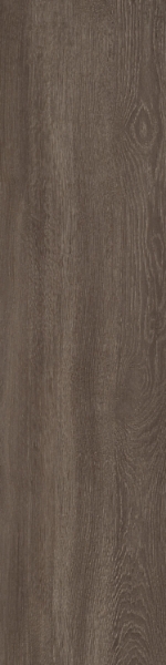 Picture of Patcraft - Woodtone Ash