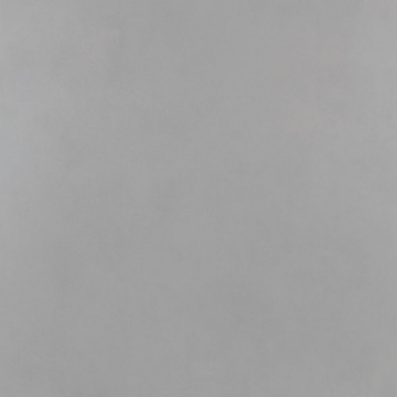 Picture of Roca - Pro 24 x 24 Polished Concrete