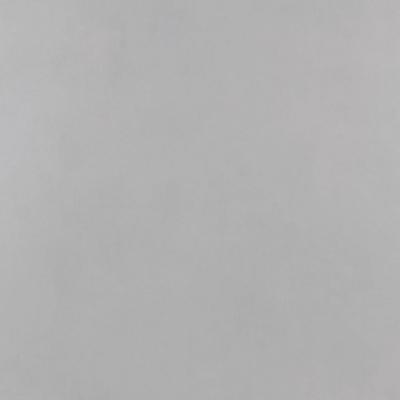 Picture of Roca - Pro 24 x 24 Matte Cement