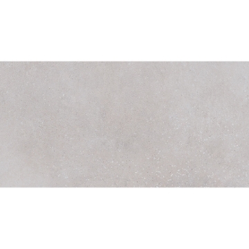 Picture of Roca - Pro Max 12 x 24 Matte ABS Cement