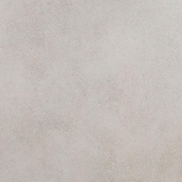 Picture of Roca - Pro Max 24 x 24 Matte Nude