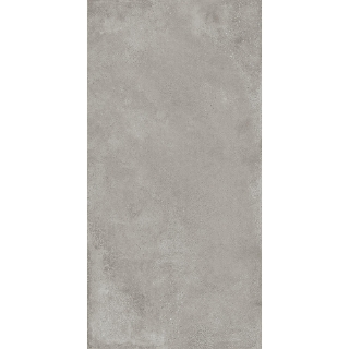 Picture of Roca - Seattle 24 x 48 Polished Cinza