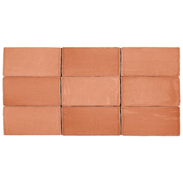 Picture of Roca - St Tropez 2.5 x 5 Coral