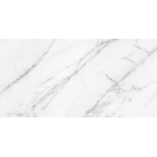 Picture of Roca - Statuary II 24 x 48 Matte White