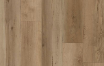 Picture of Lions Floor - Comfort Heights Maple Gardens