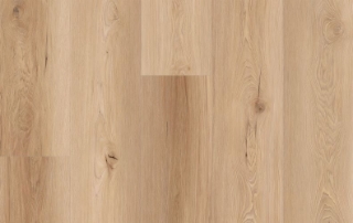 Picture of Lions Floor - Comfort Heights Camden Ridge