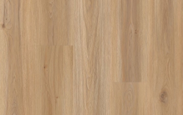 Picture of Lions Floor - Comfort Heights Huntington Gardens