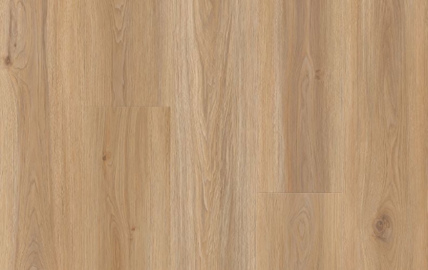 Picture of Lions Floor - Comfort Heights Huntington Gardens