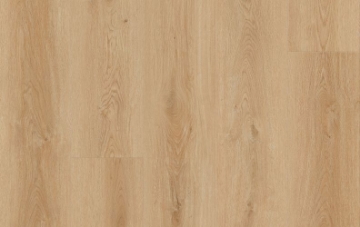 Picture of Lions Floor - Comfort Heights Village Park