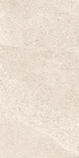 Picture of Elysium - Tune 12 x 24 Ivory