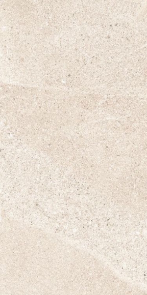 Picture of Elysium - Tune 12 x 24 Ivory