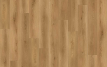 Picture of Lions Floor - Canyon Coast Altitude Trail