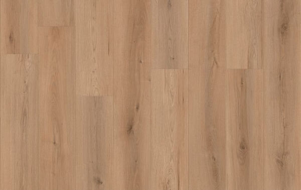 Picture of Lions Floor - Canyon Coast Everlasting Peaks