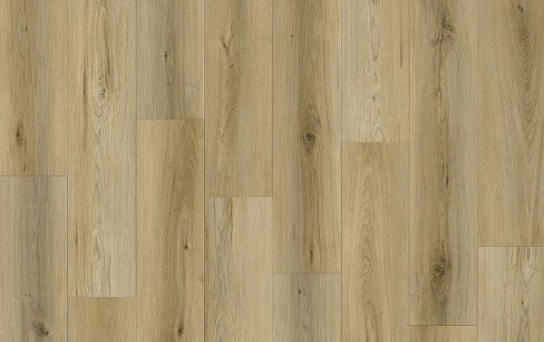 Picture of Lions Floor - Canyon Coast Mountain Mist