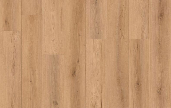 Picture of Lions Floor - Canyon Coast Sunset Vista