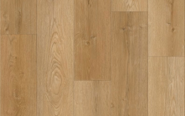 Picture of Lions Floor - District Arlington