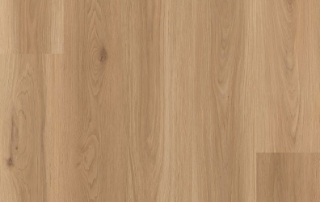 Picture of Lions Floor - District Ardmore