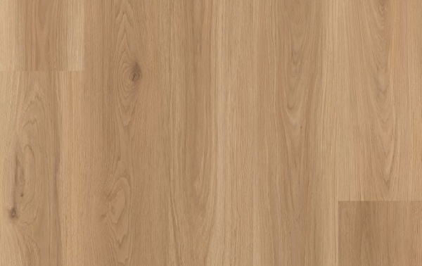 Picture of Lions Floor - District Ardmore