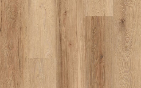 Picture of Lions Floor - District Brighton