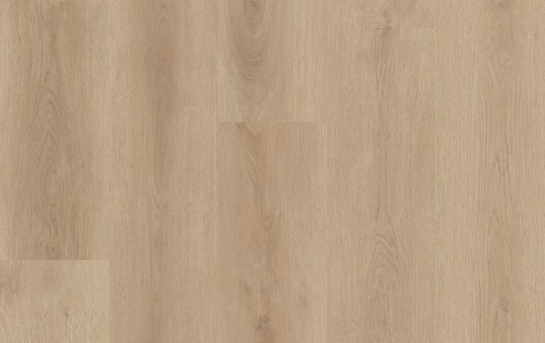 Picture of Lions Floor - District Chesterbrook