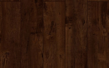 Picture of Lions Floor - Lone Star Spirit Saddle Brownie