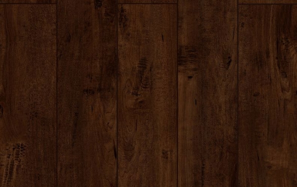 Picture of Lions Floor - Lone Star Spirit Saddle Brownie