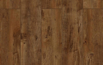 Picture of Lions Floor - Lone Star Spirit Chocolat